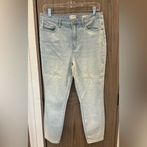 Wonderfly Womens High-rise Skinny Ankle Blue Jean Size 12